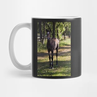 TB COLT Mug